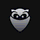 AirVPN icon