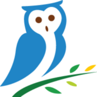 ReleaseOwl logo