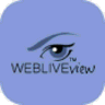 Webliveview icon