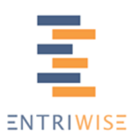 Entriwise logo