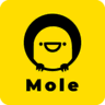 Mole.is