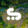 Seenspot icon