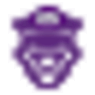 Cyber Chief logo