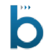 BsmartGIS logo