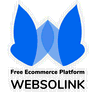 WEBSOLINK logo