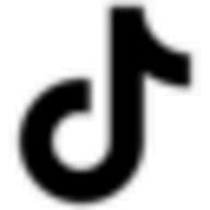 TikTok.com.im logo