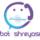 Roboresponse icon
