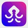 Chessquid logo