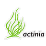 actinia