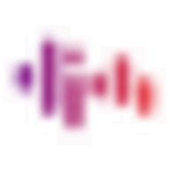 Sensy Guitar logo