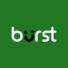 Burst Statistics icon