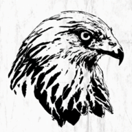 Hawk Vision — WordPress Plugin logo