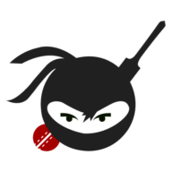 sports ninja logo