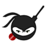 sports ninja logo