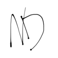 Nastix Design logo