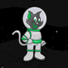 CrazySpaceCat.com