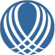 PLEXIS logo