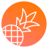 Pineapple Builder logo