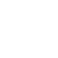 Circum Icons logo