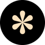 Designer Daily Report logo