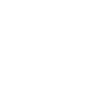 KoalaMint logo