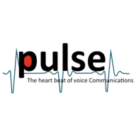 Pulse India logo