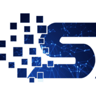 DataInSynch logo