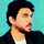 InvestorGreg icon