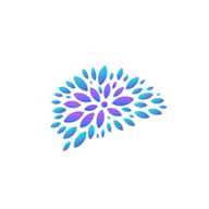 Viva Visuals logo