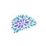 Viva Visuals logo