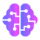 Brainfish icon