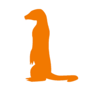 Pingkat logo