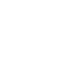Mockfly logo