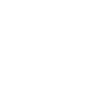 VenturusAI logo