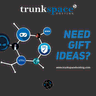 Trunkspace Hosting icon