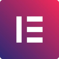 Elementor Theme Builder logo