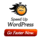 WP Sweeper icon
