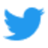 Twitter Algorithm Rank Validator logo