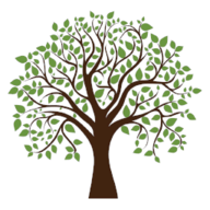 Less Boring-ify Trees logo