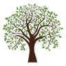 Less Boring-ify Trees logo