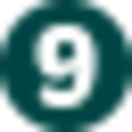 Nine Questions logo