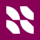 ScanWizard icon