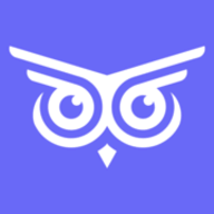 Brandwise logo