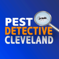 The Pest Detective logo