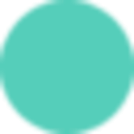 ColorSnap logo