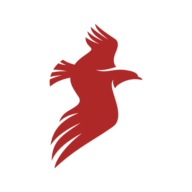 Spy Newsletter logo
