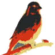chatGPT-i18n logo