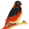 chatGPT-i18n logo