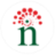 Nourish Store logo