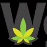 WS Basics Slides logo